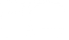 Better Than Gold Fund